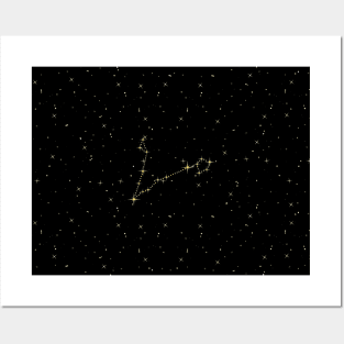 Pisces Star Constellation Posters and Art